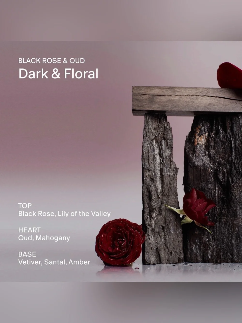 Salt and Stone Black Rose & Oud Unisex Body Mist NIB